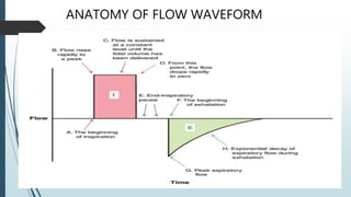 ANATOMY OF FLOW WAVEFORM
 