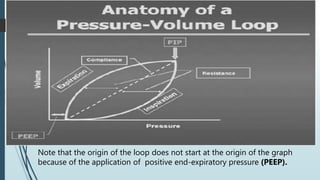 Note that the origin of the loop does not start at the origin of the graph
because of the application of positive end-expiratory pressure (PEEP).
 