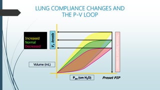 LUNG COMPLIANCE CHANGES AND
THE P-V LOOP
Volume (mL)
Preset PIP
V
T
levels
Paw (cm H2O)
COMPLIANCE
Increased
Normal
Decreased
Pressure
Targeted
Ventilation
 