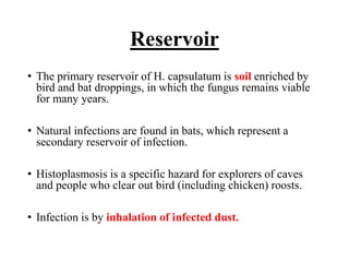 Reservoir
• The primary reservoir of H. capsulatum is soil enriched by
bird and bat droppings, in which the fungus remains viable
for many years.
• Natural infections are found in bats, which represent a
secondary reservoir of infection.
• Histoplasmosis is a specific hazard for explorers of caves
and people who clear out bird (including chicken) roosts.
• Infection is by inhalation of infected dust.
 