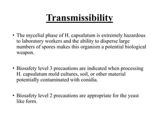 Transmissibility
• The mycelial phase of H. capsulatum is extremely hazardous
to laboratory workers and the ability to disperse large
numbers of spores makes this organism a potential biological
weapon.
• Biosafety level 3 precautions are indicated when processing
H. capsulatum mold cultures, soil, or other material
potentially contaminated with conidia.
• Biosafety level 2 precautions are appropriate for the yeast
like form.
 