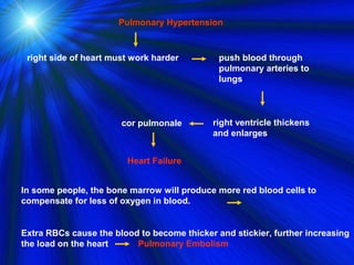 Pulmonary Hypertension



 right side of heart must work harder         push blood through
                                              pulmonary arteries to
                                              lungs




                       cor pulmonale        right ventricle thickens
                                            and enlarges


                        Heart Failure


In some people, the bone marrow will produce more red blood cells to
compensate for less of oxygen in blood.


Extra RBCs cause the blood to become thicker and stickier, further increasing
the load on the heart     Pulmonary Embolism
 