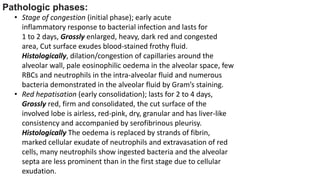 Frothy Stage Pulmonary inections.pptx