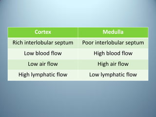 Pulmonary interstitium | PDF