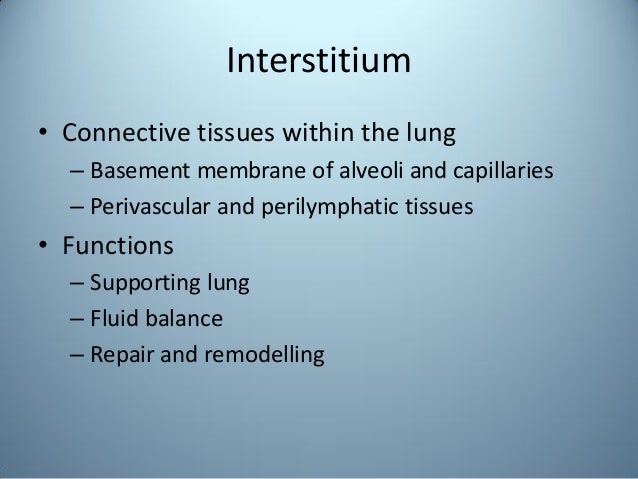 Pulmonary interstitium
