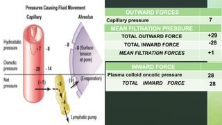 Pulmonary interstitium | PPTX