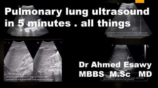 lung ultrasound all thing you want to know Dr Ahmed Esawy