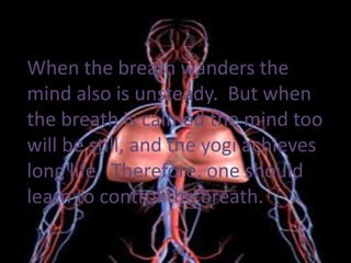 When the breath wanders the mind also is unsteady.  But when the breath is calmed the mind too will be still, and the yogi achieves long life.  Therefore, one should learn to control the breath. 