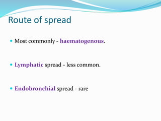 Route of spread
 Most commonly - haematogenous.
 Lymphatic spread - less common.
 Endobronchial spread - rare
 