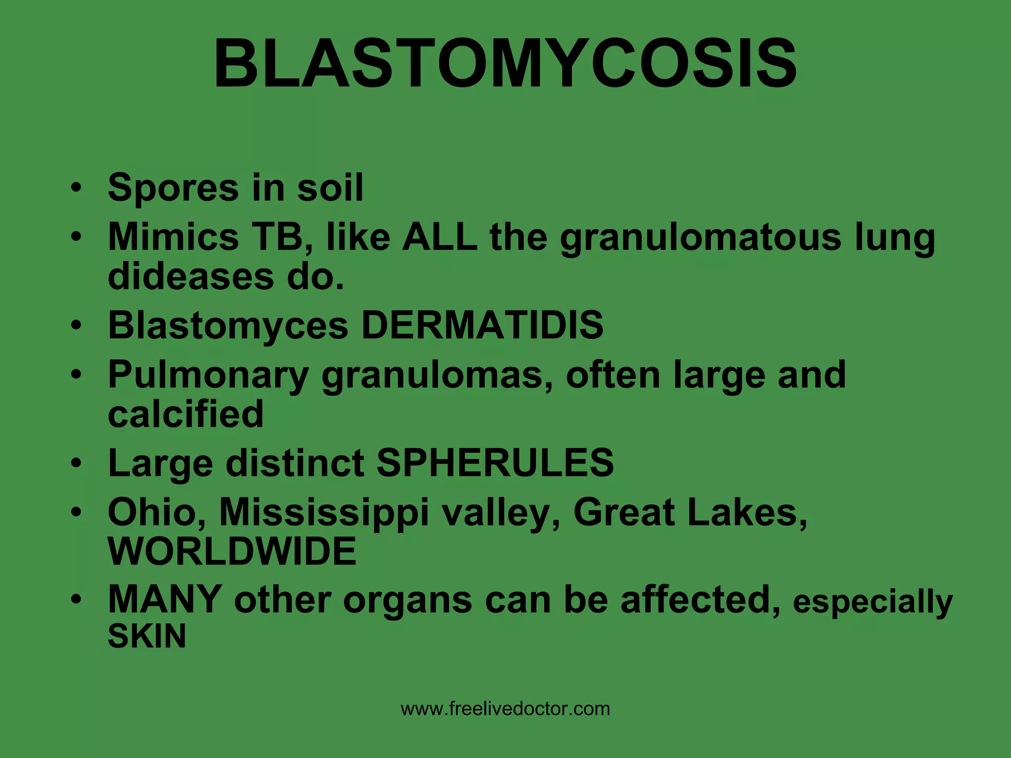 BLASTOMYCOSIS Spores in soil Mimics TB, like ALL the granulomatous lung dideases do.  Blastomyces DERMATIDIS Pulmonary granulomas, often large and calcified Large distinct SPHERULES Ohio, Mississippi valley, Great Lakes, WORLDWIDE MANY other organs can be affected,  especially SKIN www.freelivedoctor.com 