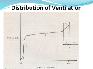 Distribution of Ventilation
 