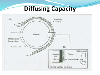 Diffusing Capacity
 