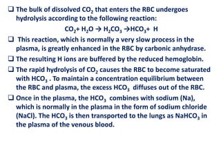 Hydrolysis Rbc Pulmonary physiology in health part ii | PPTX