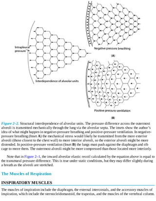 Pulmonary_Physiology_Levitzky_10_ed_2022.pdf