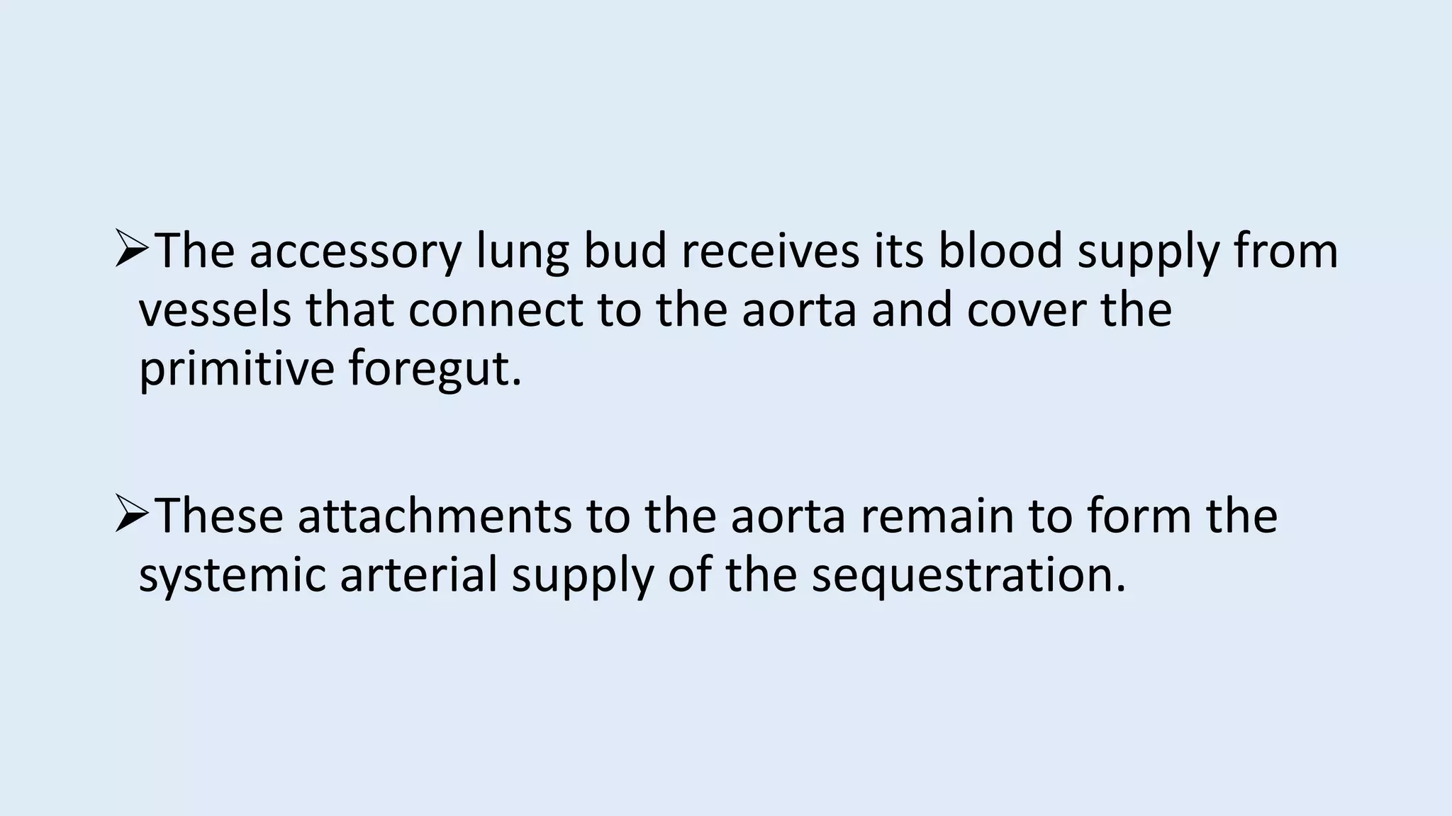 The accessory lung bud receives its blood supply from
vessels that connect to the aorta and cover the
primitive foregut.
These attachments to the aorta remain to form the
systemic arterial supply of the sequestration.
 
