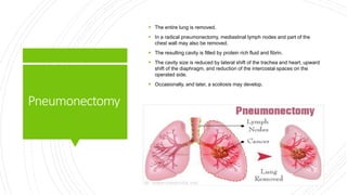 Pneumonectomy
 The entire lung is removed.
 In a radical pneumonectomy, mediastinal lymph nodes and part of the
chest wall may also be removed.
 The resulting cavity is filled by protein rich fluid and fibrin.
 The cavity size is reduced by lateral shift of the trachea and heart, upward
shift of the diaphragm, and reduction of the intercostal spaces on the
operated side.
 Occasionally, and later, a scoliosis may develop.
 