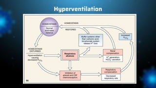 pulmonary system.pptx