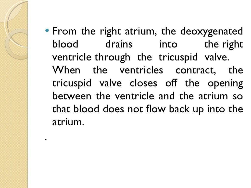 Pulmonary & systemic circulation