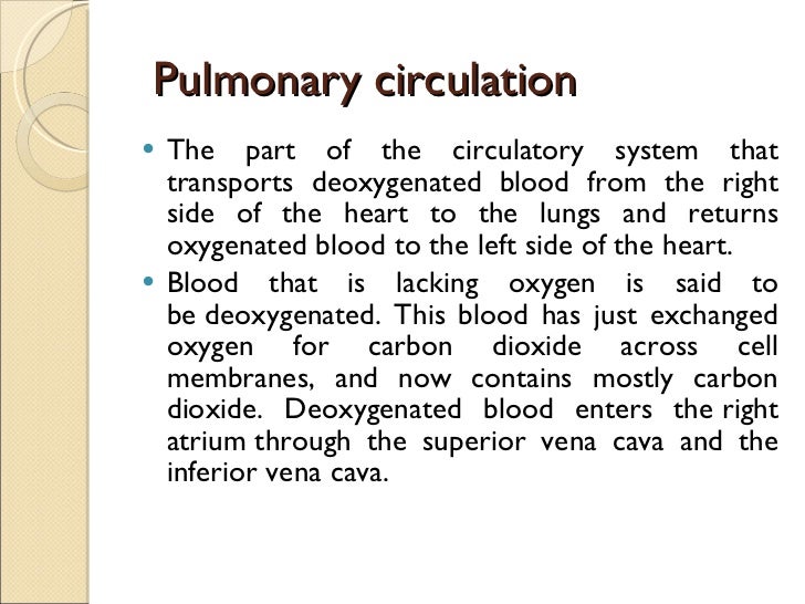 Pulmonary & systemic circulation