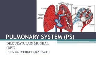 PULMONARY SYSTEM (PS)
DR.QURATULAIN MUGHAL
(DPT)
ISRA UNIVERSITY,KARACHI
1
 