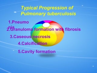 Typical Progression of Pulmonary tuberculosis 1.Pneumonia 2.Granuloma formation with fibrosis 3.Caseous necrosis 4.Calcification 5.Cavity formation 