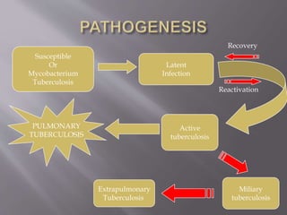 Susceptible
Or
Mycobacterium
Tuberculosis
Latent
Infection
Recovery
Reactivation
Active
tuberculosis
Miliary
tuberculosis
Extrapulmonary
Tuberculosis
PULMONARY
TUBERCULOSIS
 