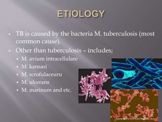  TB is caused by the bacteria M. tuberculosis (most
common cause).
 Other than tuberculosis – includes;
 M. avium intracellulare
 M. kansasi
 M. scrofulaceuru
 M. ulcerans
 M. marinum and etc.
 