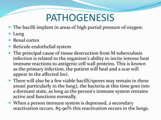 PATHOGENESIS
 The bacilli implant in areas of high partial pressure of oxygen:
 Lung
 Renal cortex
 Reticule endothelial system
 The principal cause of tissue destruction from M tuberculosis
infection is related to the organism's ability to incite intense host
immune reactions to antigenic cell wall proteins. This is known
as the primary infection, the patient will heal and a scar will
appear in the affected loci.
 There will also be a few viable bacilli/spores may remain in these
areas( particularly in the lung), the bacteria at this time goes into
a dormant state, as long as the person's immune system remains
active and functions normally.
 When a person immune system is depressed, a secondary
reactivation occurs. 85-90% this reactivation occurs in the lungs.
 