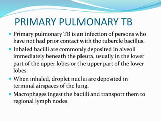 PRIMARY PULMONARY TB
 Primary pulmonary TB is an infection of persons who
have not had prior contact with the tubercle bacillus.
 Inhaled bacilli are commonly deposited in alveoli
immediately beneath the pleura, usually in the lower
part of the upper lobes or the upper part of the lower
lobes.
 When inhaled, droplet nuclei are deposited in
terminal airspaces of the lung.
 Macrophages ingest the bacilli and transport them to
regional lymph nodes.
 