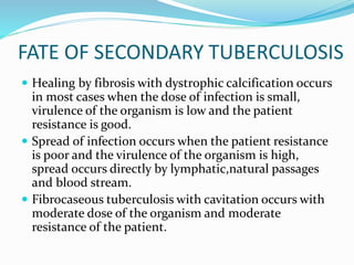 FATE OF SECONDARY TUBERCULOSIS
 Healing by fibrosis with dystrophic calcification occurs
in most cases when the dose of infection is small,
virulence of the organism is low and the patient
resistance is good.
 Spread of infection occurs when the patient resistance
is poor and the virulence of the organism is high,
spread occurs directly by lymphatic,natural passages
and blood stream.
 Fibrocaseous tuberculosis with cavitation occurs with
moderate dose of the organism and moderate
resistance of the patient.
 