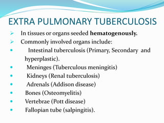 EXTRA PULMONARY TUBERCULOSIS
 In tissues or organs seeded hematogenously.
 Commonly involved organs include:
 Intestinal tuberculosis (Primary, Secondary and
hyperplastic).
 Meninges (Tuberculous meningitis)
 Kidneys (Renal tuberculosis)
 Adrenals (Addison disease)
 Bones (Osteomyelitis)
 Vertebrae (Pott disease)
 Fallopian tube (salpingitis).
 