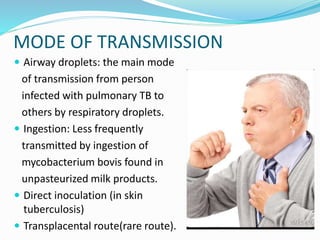  Airway droplets: the main mode
of transmission from person
infected with pulmonary TB to
others by respiratory droplets.
 Ingestion: Less frequently
transmitted by ingestion of
mycobacterium bovis found in
unpasteurized milk products.
 Direct inoculation (in skin
tuberculosis)
 Transplacental route(rare route).
MODE OF TRANSMISSION
 