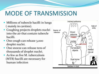 MODE OF TRANSMISSION
 Millions of tubercle bacilli in lungs
( mainly in cavities).
 Coughing projects droplets nuclei
into the air that contain tubercle
bacilli.
 One cough can release 3,000
droplet nuclei.
 One sneeze can release tens of
thousands of droplet nuclei.
 As few as five M. tuberculosis
(MTB) bacilli are necessary for
human infection
 