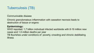 Tuberculosis (TB)
Communicable disease
Chronic granulomatous inflammation with caseation necrosis leads to
destruction of tissue or organs
Epidemiology:
WHO reported; 1.7 billion individual infected worldwide with 8-10 million new
cases and 1.5 million deaths per year
TB flourishes under conditions of poverty, crowding and chronic debilitating
illness
 