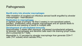 Pathogenesis
Bacilli entry into alveolar macrophages
After inhalation of coughed out infectious aerosol bacilli engulfed by alveolar
macrophages - Internalization
Replication in macrophages
In earliest phase of primary TB (first 3 weeks) in non-sensitized patient,
bacillary proliferation within alveolar macrophages and air spaces leads to
bacteremia and seeding of bacilli to multiple sites
Development of cell-mediated immunity
Approximately 3 weeks after exposure, processed mycobacterial antigens
by alveolar macrophages and dendritic cells reach the draining lymph nodes
and is presented to T cells.
Meanwhile IL-12 secreted by alveolar macrophage than generate CD4+T
cells (TH1 subset) which secrete IFN-γ
 