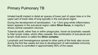 Primary Pulmonary TB
Inhaled bacilli implant in distal air spaces of lower part of upper lobe or in the
upper part of lower lobe of lung typically in the sub-plural region
During the development of sensitization, 1 to 1.5cm gray-white inflammatory
lesion appears in the sub-plural region called Ghon focus, in majority it
shows central caseation necrosis
Tubercle bacilli, either free or within phagocytes, travel via lymphatic vessels
to hilar lymph nodes, which often caseate, this combination of sub-plural and
lymph node lesion is called the Ghon complex
Lymphatic and hematogenous spread to other parts of the body also occurs
during the first few weeks but due to development of cell-mediated immunity
this infection is controlled in approximately 95% of the cases
 