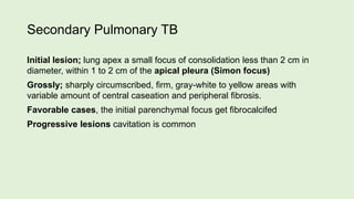 Secondary Pulmonary TB
Initial lesion; lung apex a small focus of consolidation less than 2 cm in
diameter, within 1 to 2 cm of the apical pleura (Simon focus)
Grossly; sharply circumscribed, firm, gray-white to yellow areas with
variable amount of central caseation and peripheral fibrosis.
Favorable cases, the initial parenchymal focus get fibrocalcifed
Progressive lesions cavitation is common
 