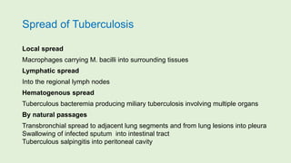 Spread of Tuberculosis
Local spread
Macrophages carrying M. bacilli into surrounding tissues
Lymphatic spread
Into the regional lymph nodes
Hematogenous spread
Tuberculous bacteremia producing miliary tuberculosis involving multiple organs
By natural passages
Transbronchial spread to adjacent lung segments and from lung lesions into pleura
Swallowing of infected sputum into intestinal tract
Tuberculous salpingitis into peritoneal cavity
 