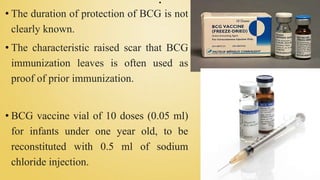 .
• The duration of protection of BCG is not
clearly known.
• The characteristic raised scar that BCG
immunization leaves is often used as
proof of prior immunization.
• BCG vaccine vial of 10 doses (0.05 ml)
for infants under one year old, to be
reconstituted with 0.5 ml of sodium
chloride injection.
 