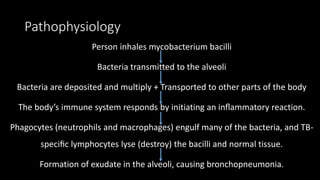 Pathophysiology
Person inhales mycobacterium bacilli
Bacteria transmitted to the alveoli
Bacteria are deposited and multiply + Transported to other parts of the body
The body’s immune system responds by initiating an inﬂammatory reaction.
Phagocytes (neutrophils and macrophages) engulf many of the bacteria, and TB-
speciﬁc lymphocytes lyse (destroy) the bacilli and normal tissue.
Formation of exudate in the alveoli, causing bronchopneumonia.
 