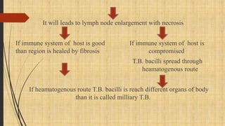 It will leads to lymph node enlargement with necrosis
If immune system of host is good If immune system of host is
than region is healed by fibrosis compromised
T.B. bacilli spread through
heamatogenous route
If heamatogenous route T.B. bacilli is reach different organs of body
than it is called milliary T.B.
 