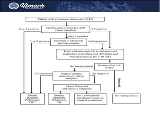 Pulmonary tuberculosis algorithm | DOCX