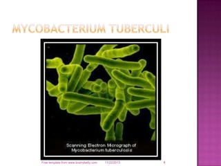 Free template from www.brainybetty.com

11/22/2013

4

 