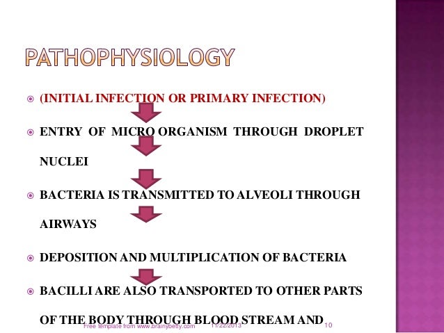 Pathophysiology Of Pulmonary Tuberculosis In Flow Chart