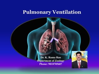 Pulmonary Ventilation
Dr. K. Rama Rao
Department of Zoology
Phone: 9010705687
 