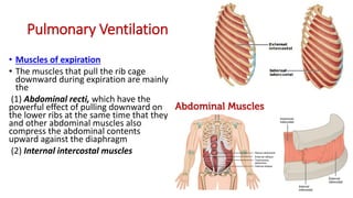 Pulmonary ventilation - FINAL (1).pdf