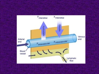 Pulmoner dolaşim (fazlası için www.tipfakultesi.org )