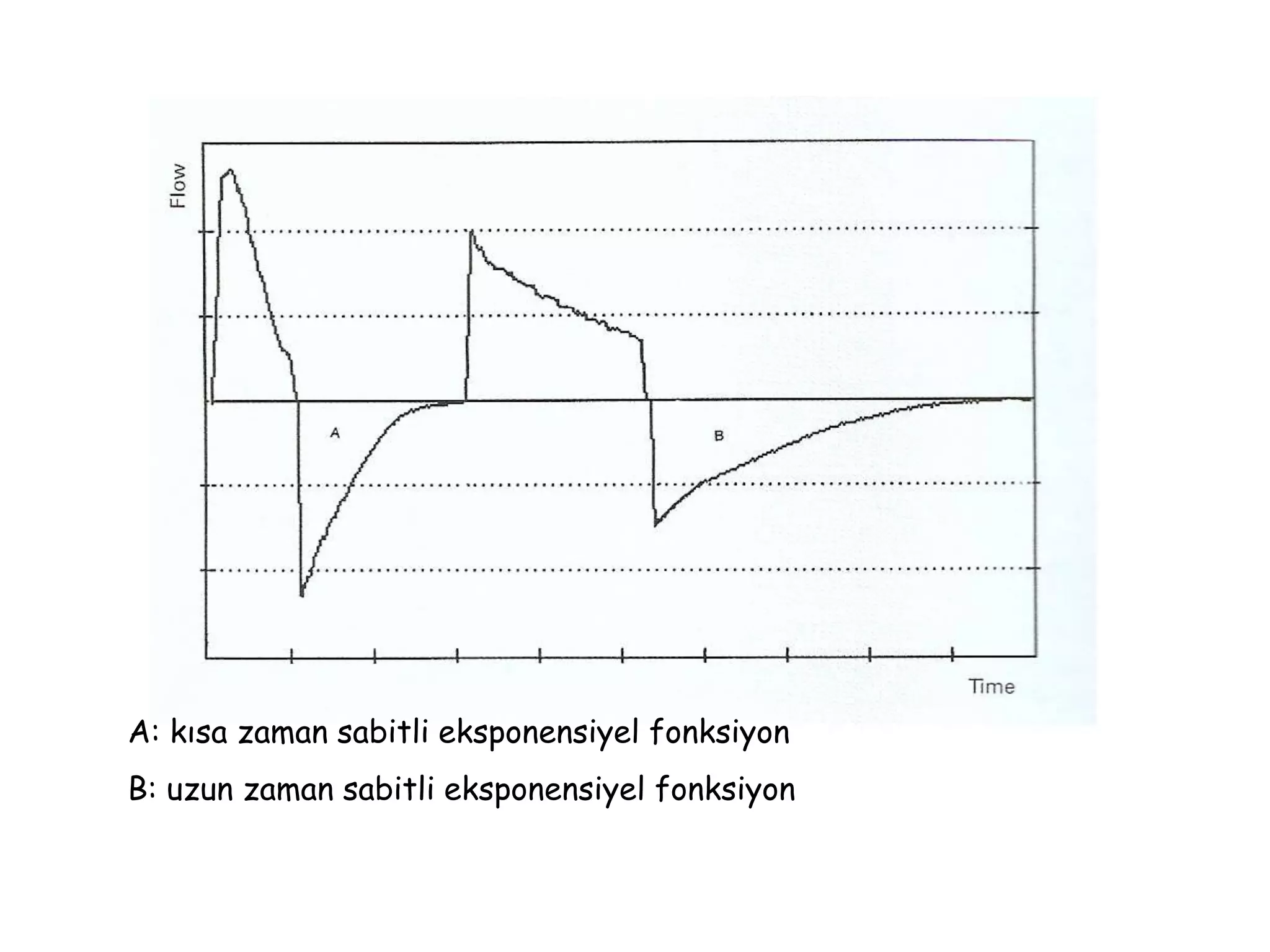 A: kısa zaman sabitli eksponensiyel fonksiyon
B: uzun zaman sabitli eksponensiyel fonksiyon
 