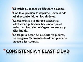 *CONSISTENCIA Y ELASTICIDAD
*El tejido pulmonar es flácido y elástico.
*Una leve presión lo deprime , evacuando
el aire contenido en los alvéolos.
*La esclerosis y la fibrosis alteran la
elasticidad pulmonar haciendo que el
valor respiratorio del órgano se vea muy
disminuido.
*Es frágil: a pesar de su cubierta pleural,
se desgarra fácilmente dando un precario
apoyo a las suturas.
 