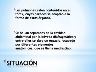 *SITUACIÓN
*Los pulmones están contenidos en el
tórax, cuyas paredes se adaptan a la
forma de estos órganos.
*Se hallan separados de la cavidad
abdominal por la bóveda diafragmática y
entre ellos se abre un espacio, ocupado
por diferentes elementos
anatómicos, que se llama mediastino.
 